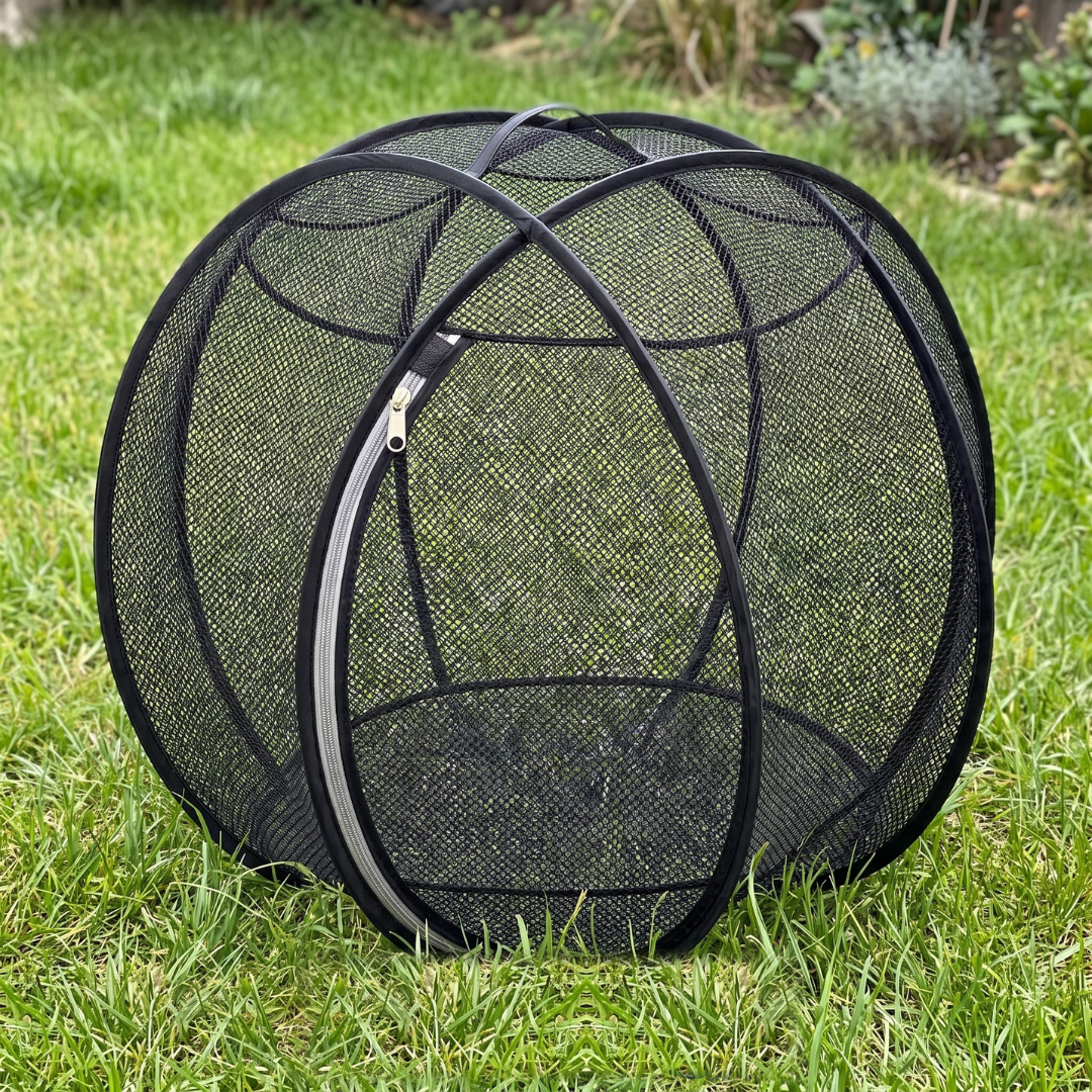 Mew Orbit™ - Outdoor Pet Playpen