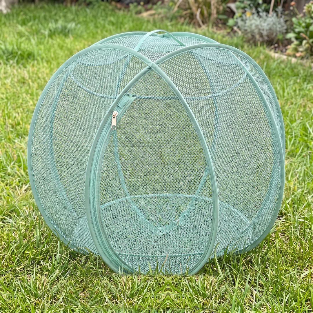 Mew Orbit™ - Outdoor Pet Playpen - Green